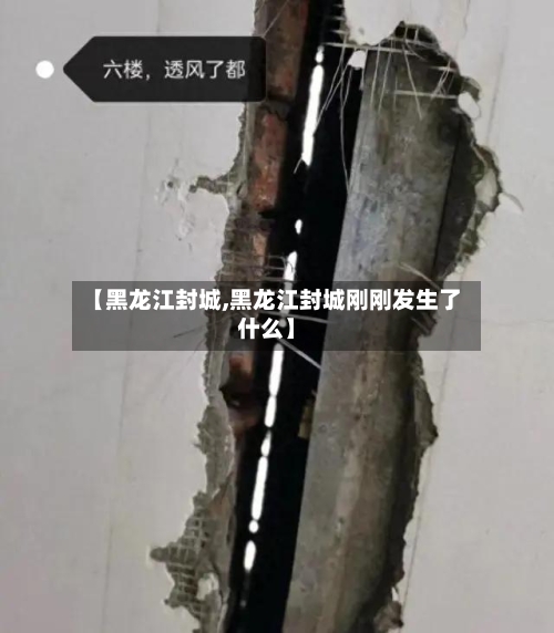 【黑龙江封城,黑龙江封城刚刚发生了什么】-第2张图片