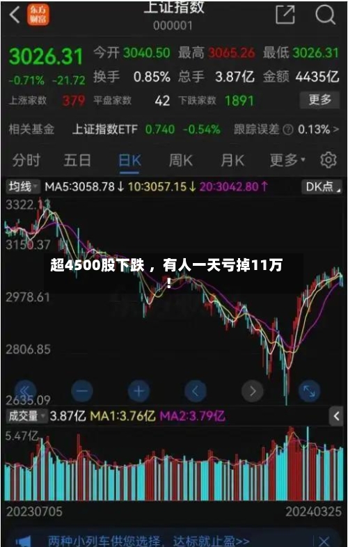 超4500股下跌 ，有人一天亏掉11万！