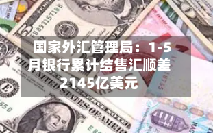 国家外汇管理局:1-5月银行累计结售汇顺差2145亿美元-第2张图片