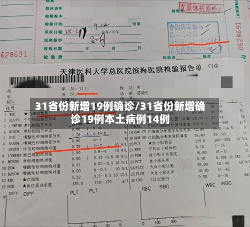 31省份新增19例确诊/31省份新增确诊19例本土病例14例